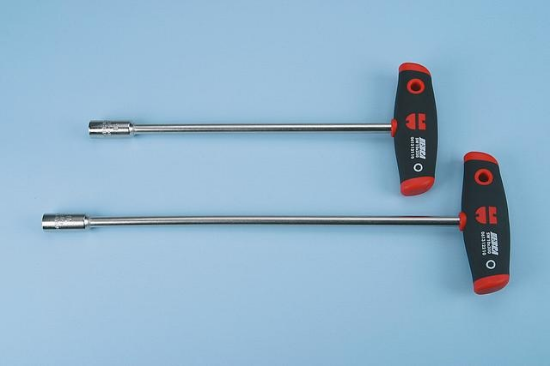 Fotografia e ZEBRA T-kaçavidë, prizë 6-ag. pranimi, OK9X200.