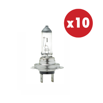 Слика на Сијалица H7, 12V 55W - Pх26D Standard - 10 парчиња 