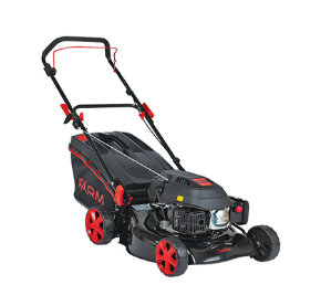 Fotografi për kategorinë Një kopsht.