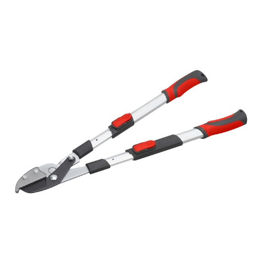 Fotografia e Ножици за гранки со наковална, 2К телескoпска рачка.