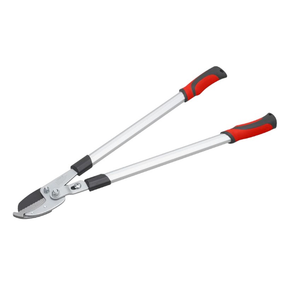 Fotografia e Ножици за гранки со наковална засилени.